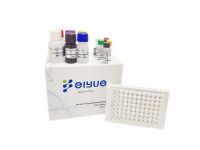 Human anti-immunodeficiency virus antibody,HIV ELISA Kit