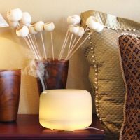 500ml Electric blue tooth household humidification essential oil diffuser