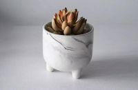 ceramic planter