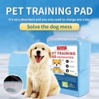 Care For Pet Health OEM, ODM Doggy Training Pads House Clear