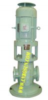 Marine Vertical Twin Screw Pump