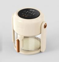 Visual Air Fryer no oil electric fryer French fry machine