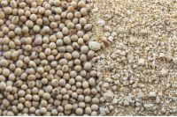 Soybean Mealfeed