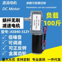 50kg-A5840-31zy 6-24V DC Motor Power 4.8W Doll Machine Apply Can Be Customized According to The Size and Parameters