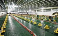 poultry farm equipment drinking system nipple