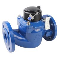 Woltman water meter|Woltman Helix Water Meter