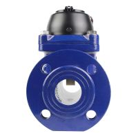 Irrigation water meter