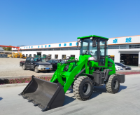 China manufacture CE Approved 1 ton wheel loaders