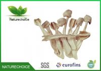 COPRINUS COMATUS Slice ,dried Coprinus Comatus Sliced