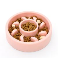 Anti Choking Pet Slow Feeder Pet Food Bowl
