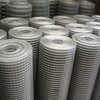 Hot dipped galvanized/electric galvanized welded wire mesh