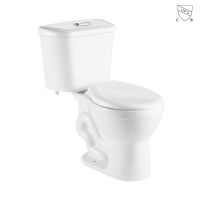 Bathroom water-saving ADA Compliant CUPC certified comfort height round shape bowl s-trap siphonic white ceramic two piece toilet 12 inches 305mm rough-in s-trap 2-piece toilet with seat included