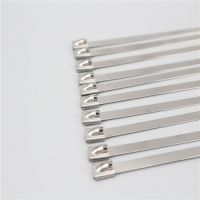 Stainless Steel Cable Ties