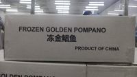 Golden pompano fresh and health from China