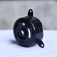 Developed automotive electronic fans