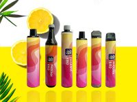 2022 hot selling disposable e-cigarette at the most suitable price with high quality and professional service