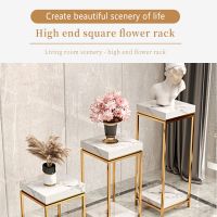 Square planterï¼�Support customization, support email contactï¼�