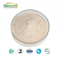 Garlic Extract Powder