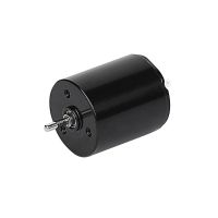 Diameter 22mm Micro Coreless DC Motor Replace Maxon 