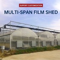 JC-SLWS-L02 Multi-span film shed