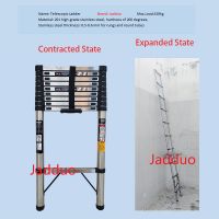 Stainless steel telescopic ladder