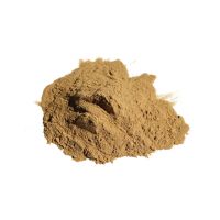 Tongkat Ali extract powder