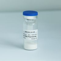 Mass Production Taq DNA Polymerase Powder Stable