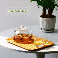 Heat-Resistant Borosilicate Glass Teapot with 304 Stainless Steel Infuser DX-Z202(800ml)