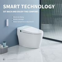 Multifunctional intelligent toilet with warm air drying, mobile massage, water temperature adjustment and air temperature adjustment