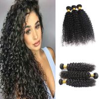 High quality virgin hair wholesale curly