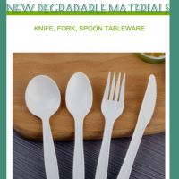 PLA biodegradable cutlery, spoon and disposable tableware