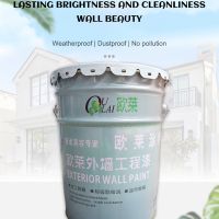 OULAI Exterior Wall Engineering Paint (White Paint) 20L Exterior Wall Paint Waterproof Sunscreen Weather-Resistant Exterior Wall Paint Outdoor Renovation Paint