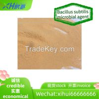 High quality Bacillus subtilis microbial agent