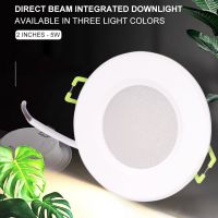 Direct Injection All-in-one Downlight 2 Inch-5w (multiple Types To Choose From)