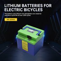Nizong  48V Series Lithium Battery for Electric Bicycle