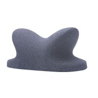 Lunch Break Pillow Office Sleep Memory