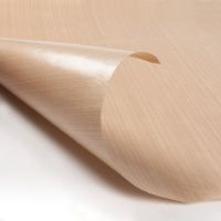 PTFE Coated Fiberglass Fabric