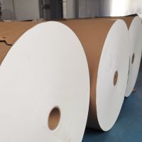 PLA coated paper cupstock rolls