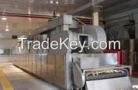 DWT Series Belt Dryer for Vegetable Dehydration