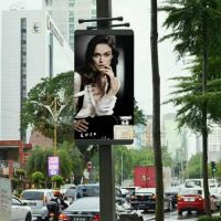 Lighting pole LED display