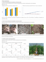 Soil remediation products