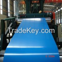 Color Coated Steel Coil