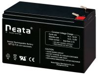 Sealed Lead Acid battery