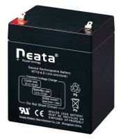 Sealed Lead Acid battery