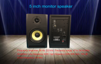 audio monitor speaker system