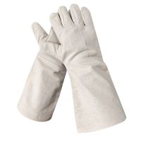 White Canvas Gloves With 24 Lines