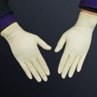 The Factory Uses 9-inch Latex