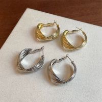 Chic High-End Retro Earrings, Niche