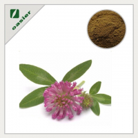 Red Clover Extract