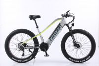 Mountain Bike Top Quality Electric Bike